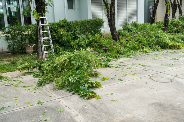 Best Pest Control for Lawns  in Warner Robins, GA
