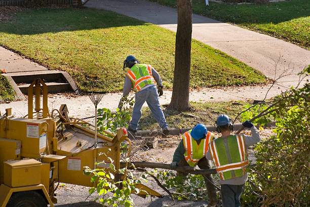 Best Lawn Watering Services  in Warner Robins, GA