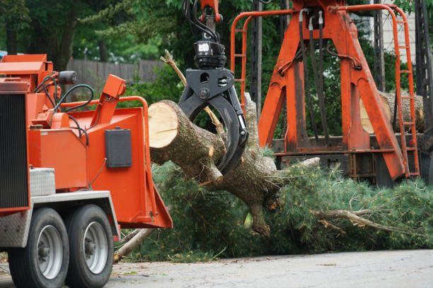 Best Seasonal Cleanup (Spring/Fall)  in Warner Robins, GA